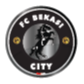 德扬FC